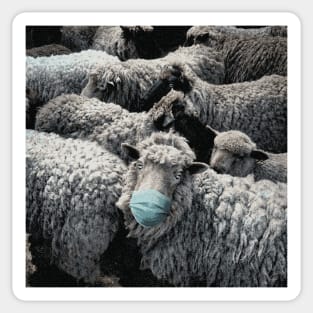 Sheeple Stickers for Sale TeePublic